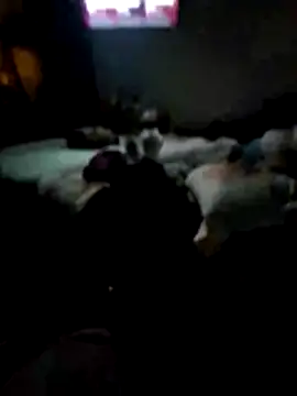 Snapshot of juliopantoja chatting on February 2026 05:04:01 AM juliopantoja online show from February 2026 05:04:01 AM