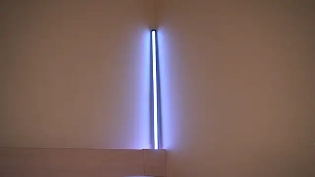 Snapshot of Liuba_Fox chatting on February 2026 07:33:02 PM Liuba Fox online show from February 2026 07:33:02 PM