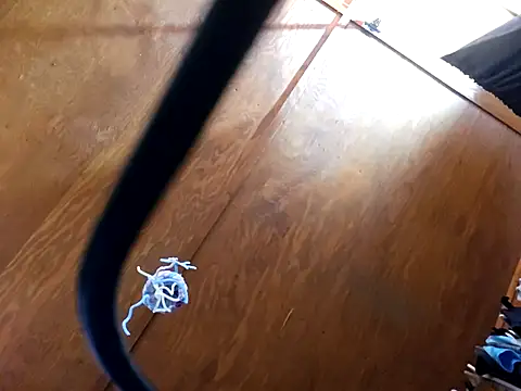 UncutHammer69 online show from April 2026 09:21:02 PM