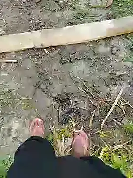 Snapshot of bigh96dik chatting on January 2025 08:41:02 AM bigh96dik online show from January 2025 08:41:02 AM