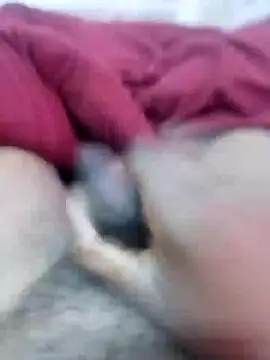 Snapshot of bigh96dik chatting on January 2025 05:30:01 AM bigh96dik online show from January 2025 05:30:01 AM