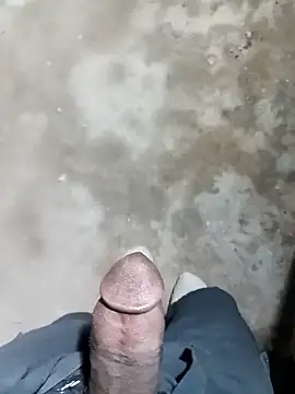 Bengali BULL1 online show from November 2025 06:26:01 PM