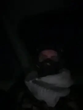 Snapshot of rusharizona chatting on January 2025 02:00:02 AM rusharizona online show from January 2025 02:00:02 AM