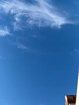 Snapshot of rusharizona chatting on February 2025 03:09:01 PM rusharizona online show from February 2025 03:09:01 PM