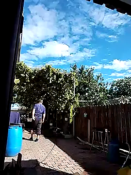 sarpe4 online show from October 2025 10:57:01 AM