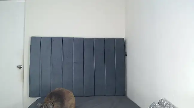 Snapshot of Chanelsexyy chatting on March 2025 11:53:01 PM Chanelsexyy online show from March 2025 11:53:01 PM