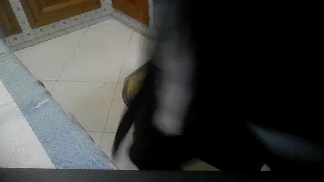 polloiw online show from October 2025 07:36:02 PM