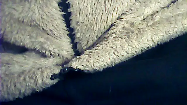 kalinixta online show from January 2026 06:44:01 PM