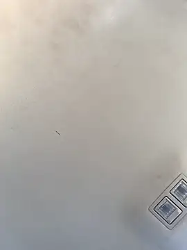 Tristris100 online show from December 2024 08:14:02 PM