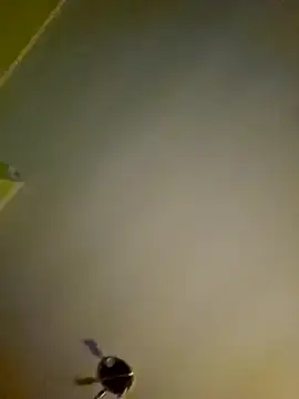 NiceHunter89 online show from January 2025 01:11:01 AM