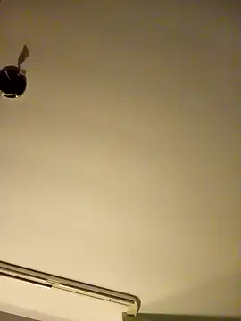 NiceHunter89 online show from January 2025 02:45:02 AM