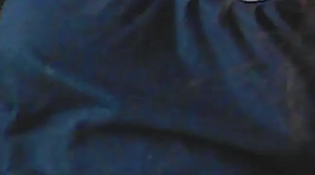 Snapshot of giga-bite chatting on December 2024 06:40:01 AM giga-bite online show from December 2024 06:40:01 AM