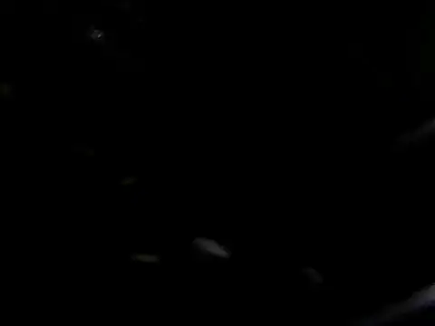 Snapshot of giga-bite chatting on October 2025 03:44:02 PM giga-bite online show from October 2025 03:44:02 PM