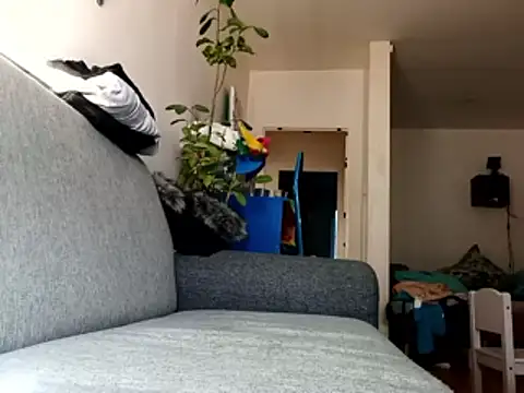 ganjaman871231 online show from February 2026 10:05:01 AM