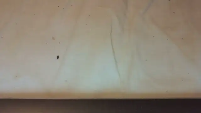 Snapshot of Helly97 chatting on October 2025 08:07:01 PM Helly97 online show from October 2025 08:07:01 PM