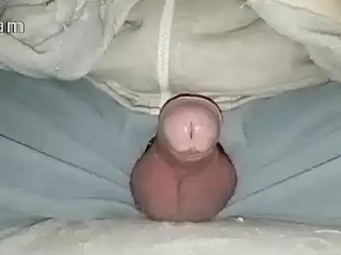 Snapshot of Bigdick666cm chatting on January 2025 06:47:01 PM Bigdick666cm online show from January 2025 06:47:01 PM