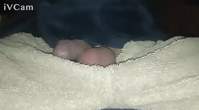 Snapshot of Bigdick666cm chatting on February 2025 03:25:01 AM Bigdick666cm online show from February 2025 03:25:01 AM