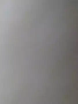 dickbastienweed online show from January 2025 05:02:02 PM