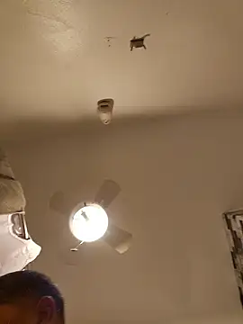 tropikboy online show from January 2026 09:36:01 AM