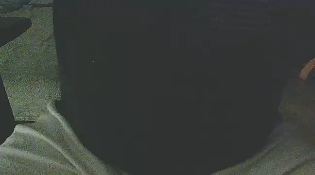 Palimy online show from February 2025 11:16:02 PM