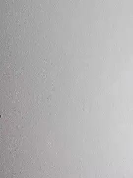 mister-dwt online show from October 2025 10:58:02 AM