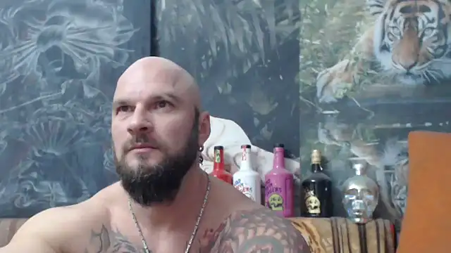 Snapshot of viking_30 chatting on November 2025 07:41:02 PM viking 30 online show from November 2025 07:41:02 PM