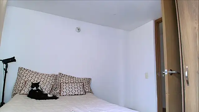 SARA TS FOX online show from February 2026 05:18:02 PM