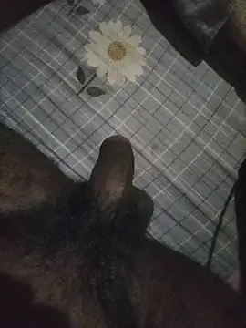 Snapshot of naxus@xh chatting on November 2025 05:57:01 PM naxusxh online show from November 2025 05:57:01 PM