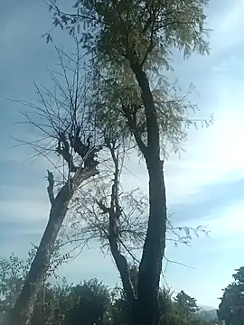 SunnyleoneBG online show from December 2024 07:46:01 AM