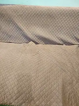 Snapshot of indianbulldelhi chatting on October 2025 05:08:01 AM indianbulldelhi online show from October 2025 05:08:01 AM