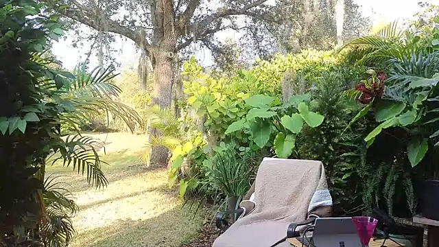 eliberator1777 online show from January 2025 09:37:01 PM