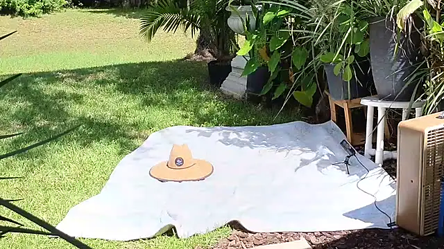 eliberator1777 online show from September 2025 05:03:01 PM