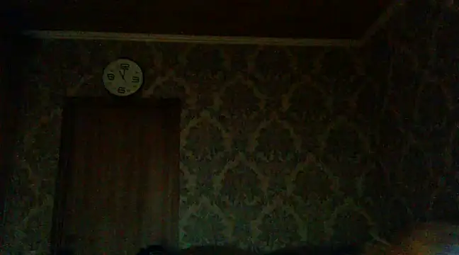 Snapshot of WildMissNiks chatting on December 2024 09:02:02 AM WildMissNiks online show from December 2024 09:02:02 AM