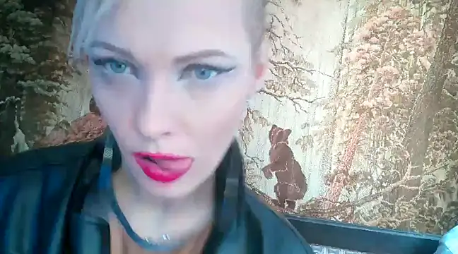 Snapshot of WildMissNiks chatting on February 2025 12:08:01 PM WildMissNiks online show from February 2025 12:08:01 PM