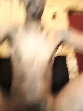 Latrel01 online show from December 2025 11:33:02 PM