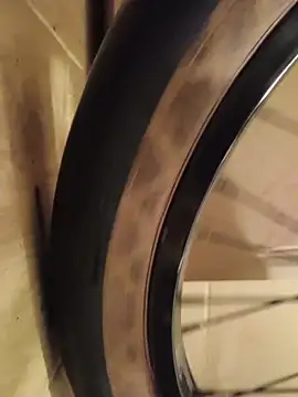 FireFox Feel online show from December 2024 03:29:01 AM