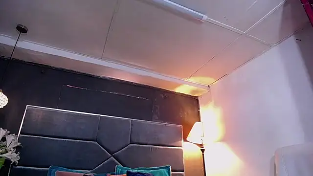 teddyfit19cm online show from November 2025 01:55:01 PM