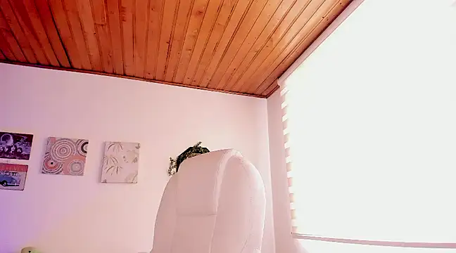 kinky rider online show from December 2024 08:16:01 PM