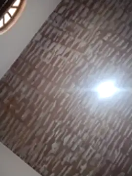 catdool online show from December 2025 12:21:01 PM