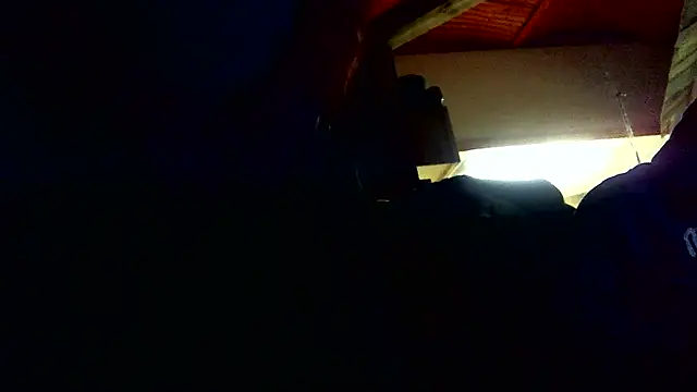 Snapshot of Dalton2288 chatting on February 2026 10:36:02 AM Dalton2288 online show from February 2026 10:36:02 AM