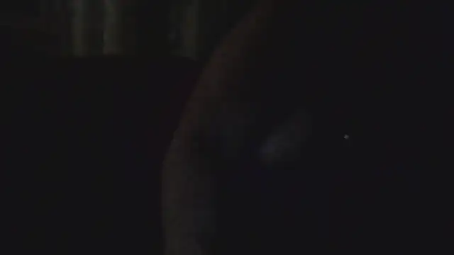 Dolcezza online show from November 2025 03:17:02 AM