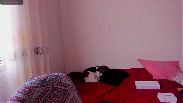 aluna 0310 online show from December 2024 06:46:02 PM