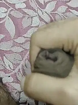 rockkyy9 online show from October 2025 04:01:02 AM