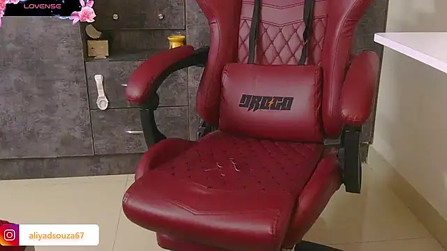 Snapshot of aliyadsouza chatting on March 2025 08:26:02 PM aliyadsouza online show from March 2025 08:26:02 PM