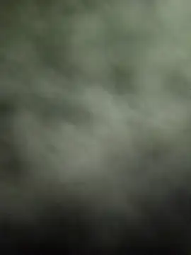 Prince R9 online show from January 2025 06:52:02 AM