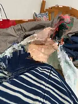 taro-321 online show from December 2024 10:01:02 PM