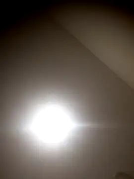 sua sub  online show from November 2025 11:43:02 AM