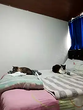 Vicky Rosse online show from November 2025 05:37:01 PM