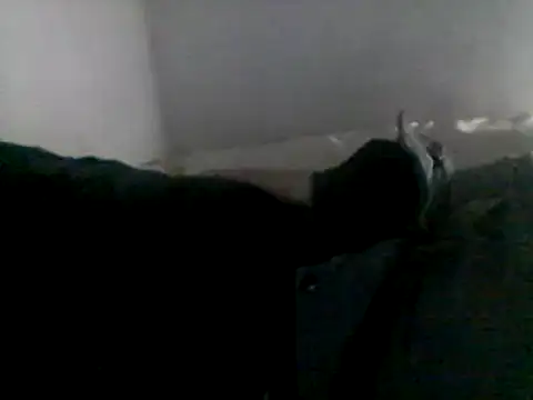 Snapshot of Dnbigo89 chatting on February 2025 05:40:02 PM Dnbigo89 online show from February 2025 05:40:02 PM