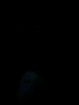 dropmoney online show from December 2025 05:01:01 AM